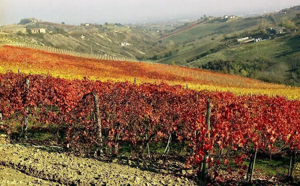 Farm stay Agriturismo Acetaia Sereni Marano sul Panaro Italy