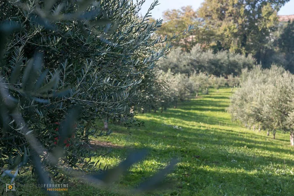 Agriturismo Acetaia Sereni Marano sul Panaro 0*,